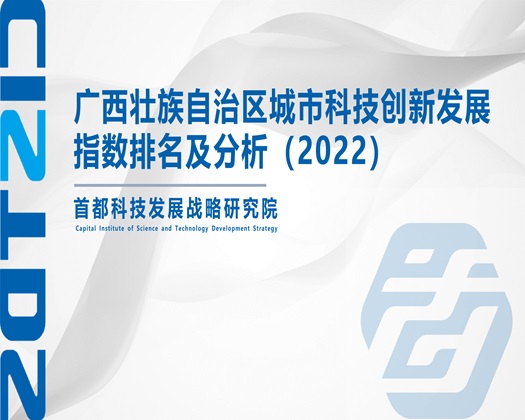 免费一级片少女的逼【成果发布】广西壮族自治区城市科技创新发展指数排名及分析（2022）